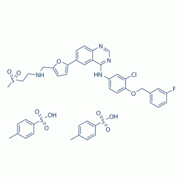 Lapatinib (GW-572016) Ditosylate
