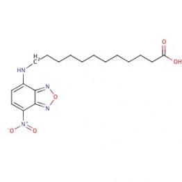 12-(7-Nitrobenzofurazan-4-ylamino)dodecanoic acid (CAS 96801-39-7)