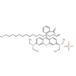 Rhodamine B octadecyl ester perchlorate (CAS 142179-00-8)