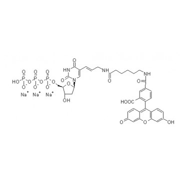 Fluorescein-dUTP (CAS 214154-36-6)