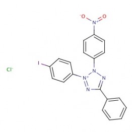 Iodonitrotetrazolium chloride (CAS 146-68-9)